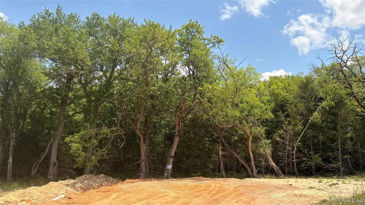 0 Highway 21 Acres, Hayneville, AL 36752 - #1