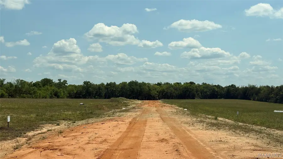 0 Highway 21 Acres, Hayneville, AL 36752 - #2