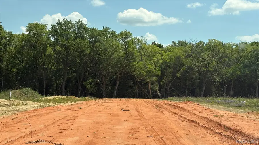 0 Highway 21 Acres, Hayneville, AL 36752 - #3