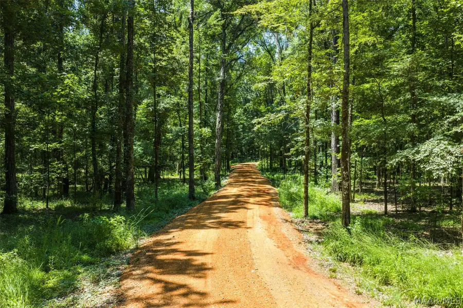 6 Chaseway Drive, Pike Road, AL 36064 - #3