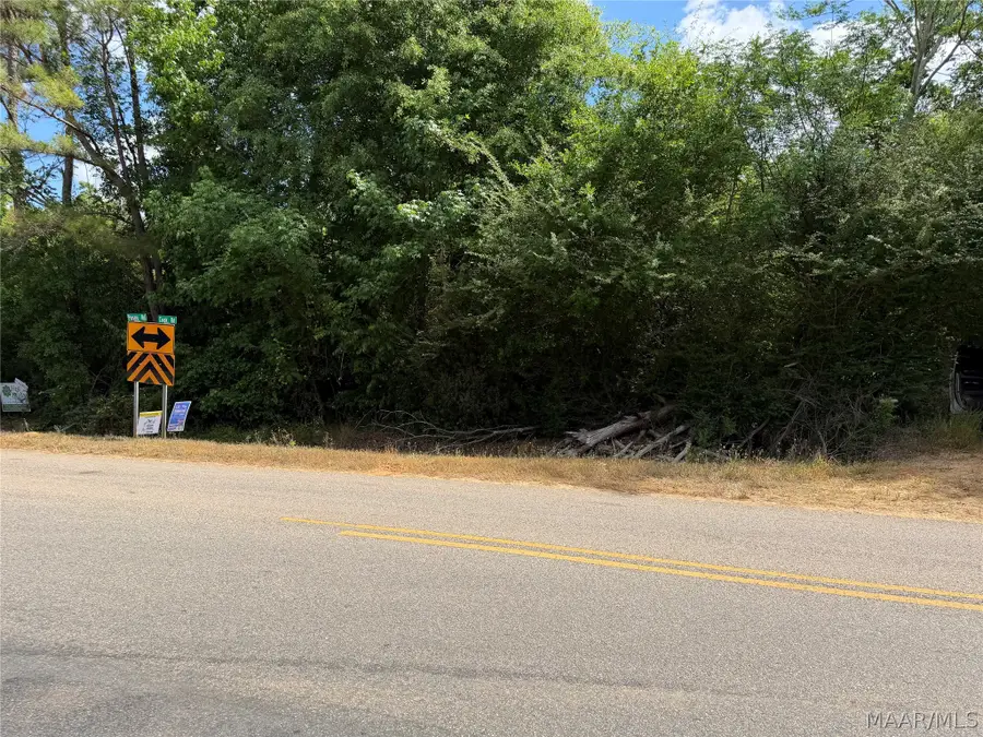 0 Posey Road, Petrey Highland Home, AL 36046 - #3