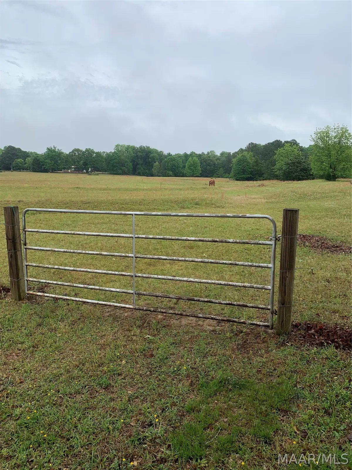 000 Tom Turner Road, Billingsley, AL 36006 - #1