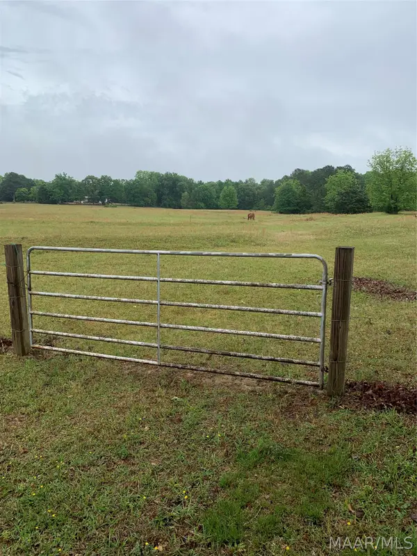 000 Tom Turner Road, Billingsley, AL 36006