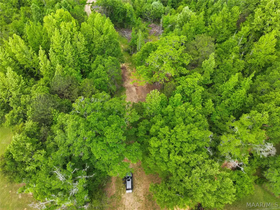 0 Red Eagle Road, Prattville, AL 36067 - #3