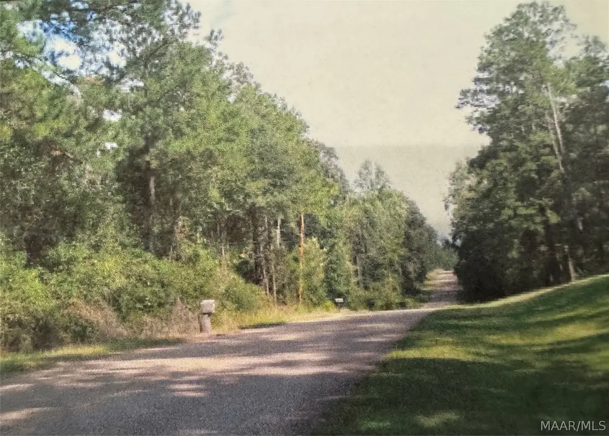 976 County Road 80 Road, Selma, AL 36703 - #1