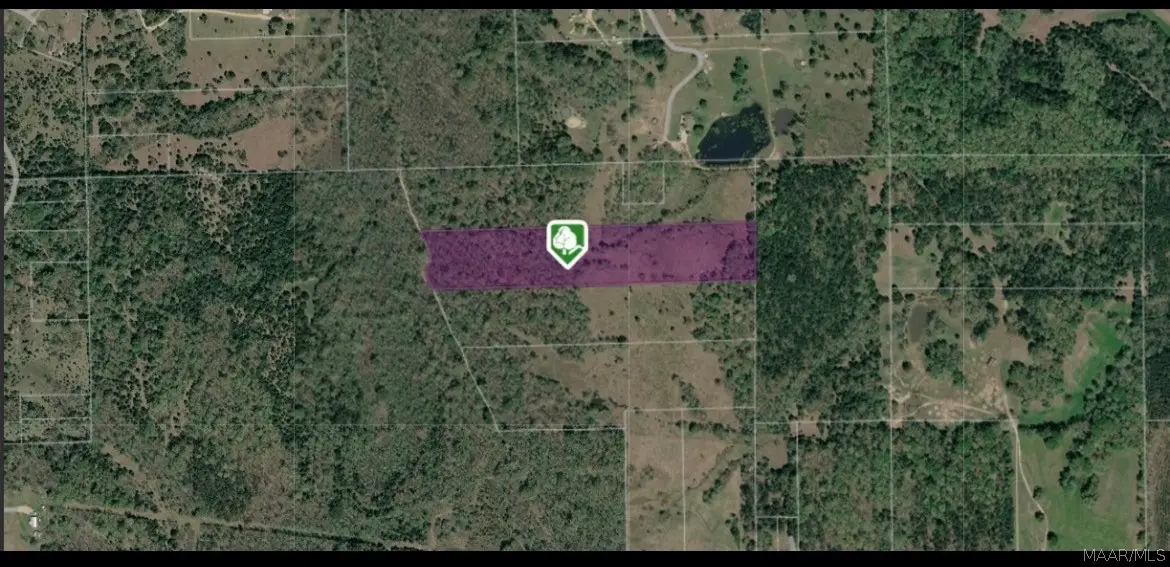 0 County Road 33 Road, Letohatchee, AL 36047 - #1