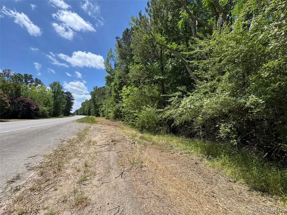 5229 Highway 9, Equality, AL 36026 - #1