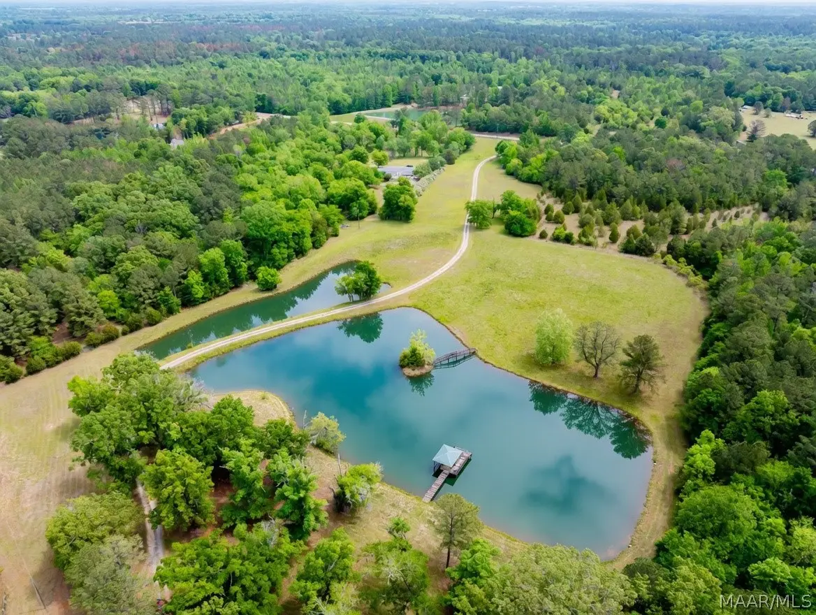 11286 Old Pike Road, Mathews, AL 36052 - #1