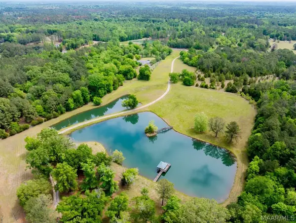11286 Old Pike Road, Mathews, AL 36052