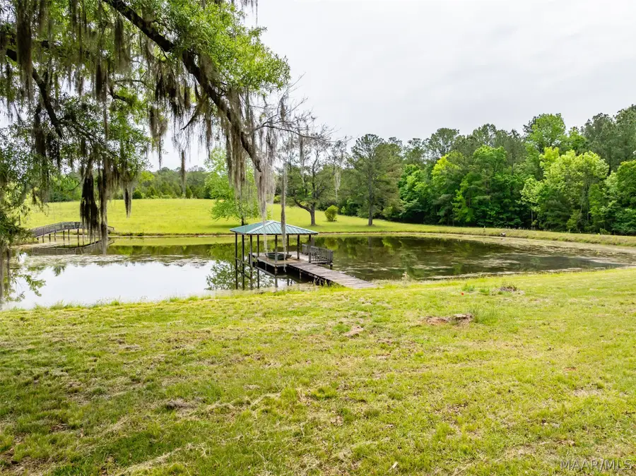 11286 Old Pike Road, Mathews, AL 36052 - #3