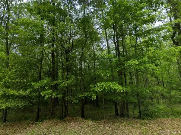 0 Pine Grove Road, Tuskegee, AL 36083