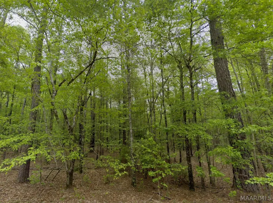 0 Pine Grove Road, Tuskegee, AL 36083 - #3