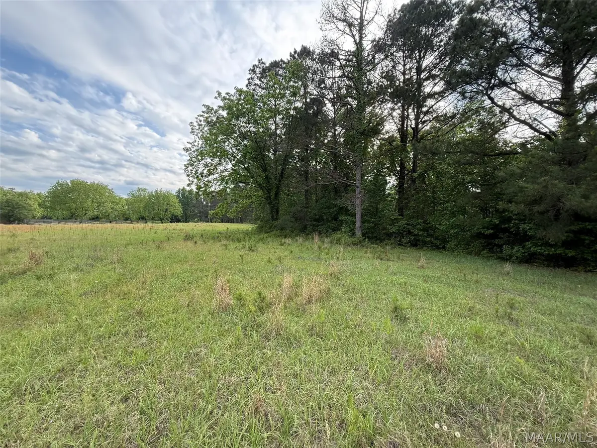 3783 B Al Highway 22 N, Valley Grande, AL 36701 - #1
