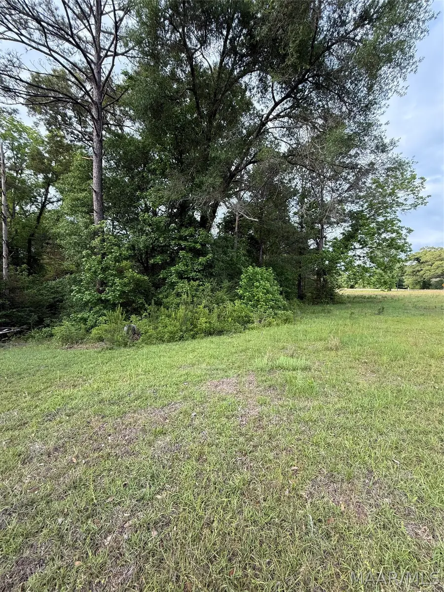 3783 B Al Highway 22 N, Valley Grande, AL 36701 - #2