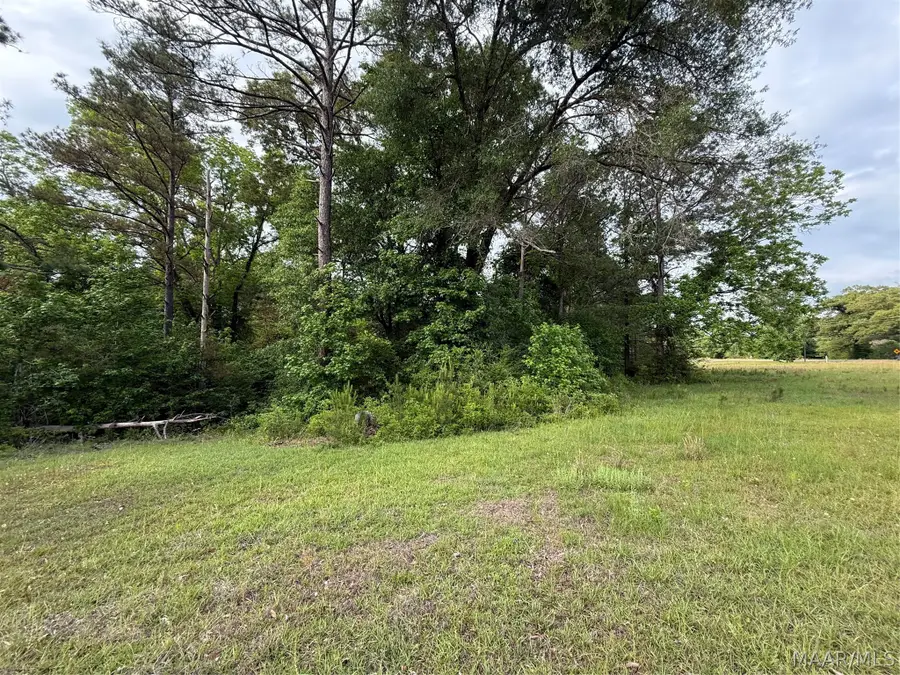 3783 B Al Highway 22 N, Valley Grande, AL 36701 - #3