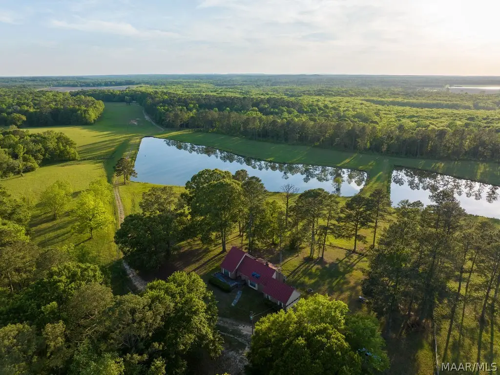 0 Highway 239, Banks, AL 36016 - #1