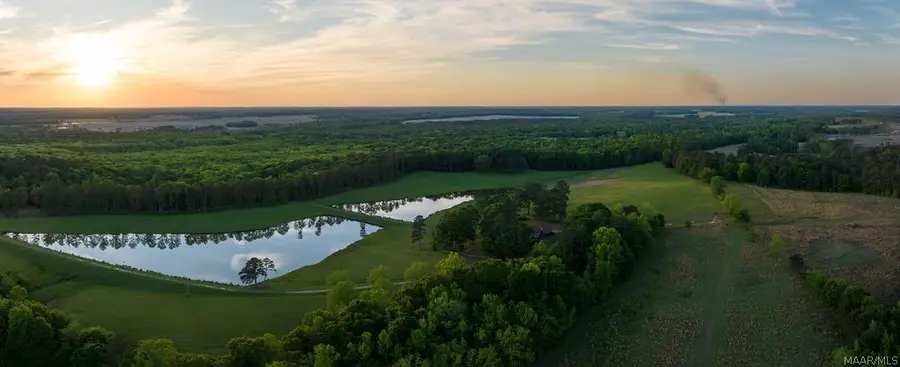 0 Highway 239, Banks, AL 36016 - #2