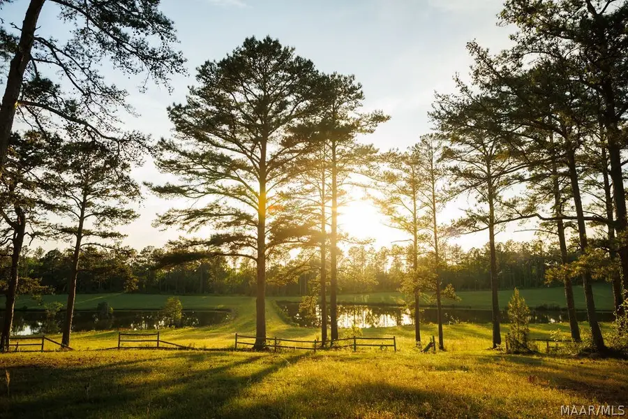 0 Highway 239, Banks, AL 36016 - #3