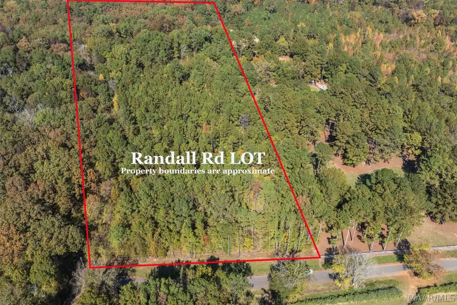 000 Randall Road, Cecil, AL 36013 - #2