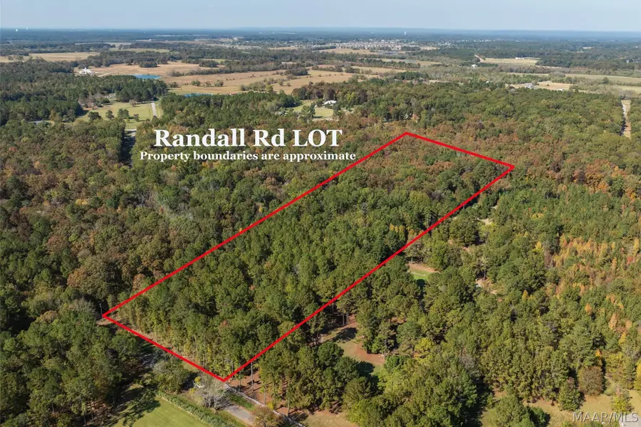 000 Randall Road, Cecil, AL 36013 - #3
