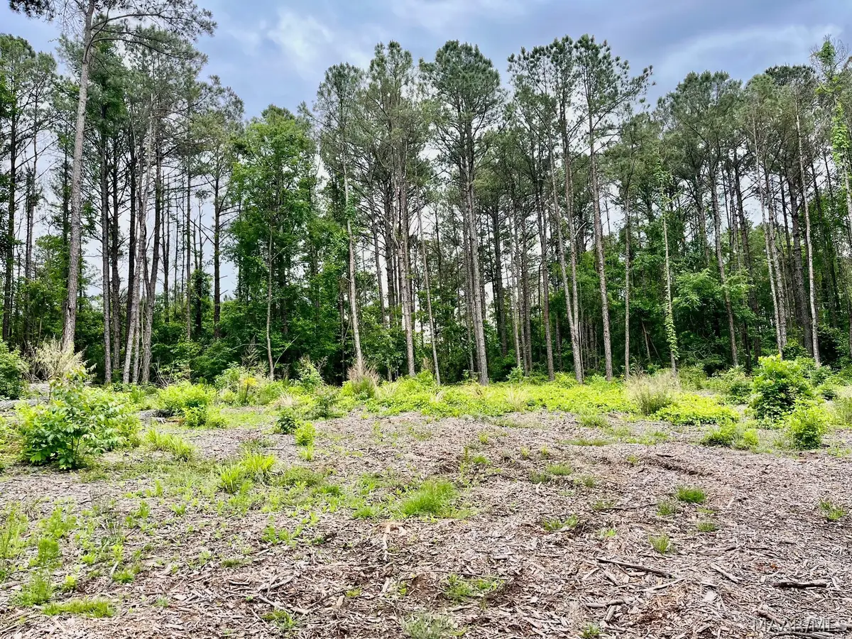 2367 Mitchell Creek Road, Wetumpka, AL 36093 - #1