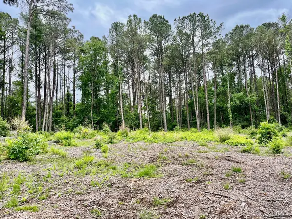 2367 Mitchell Creek Road, Wetumpka, AL 36093