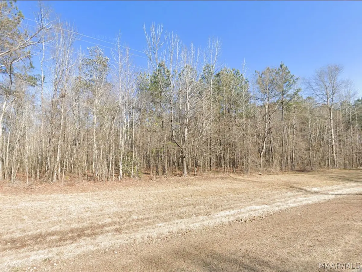 2445 County Road 47, Tuskegee, AL 36083 - #1