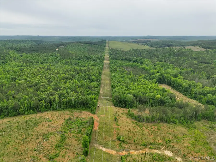 0 Lagrone Road, Moundville, AL 35474 - #2