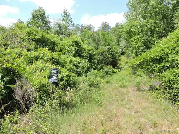 0 Davenport Road, Greenville, AL 36037