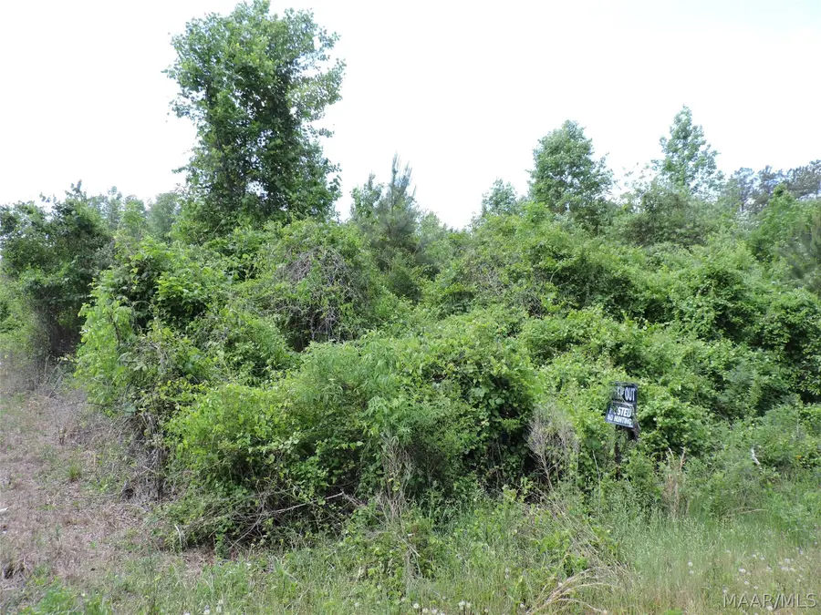0 Davenport Road, Greenville, AL 36037 - #2