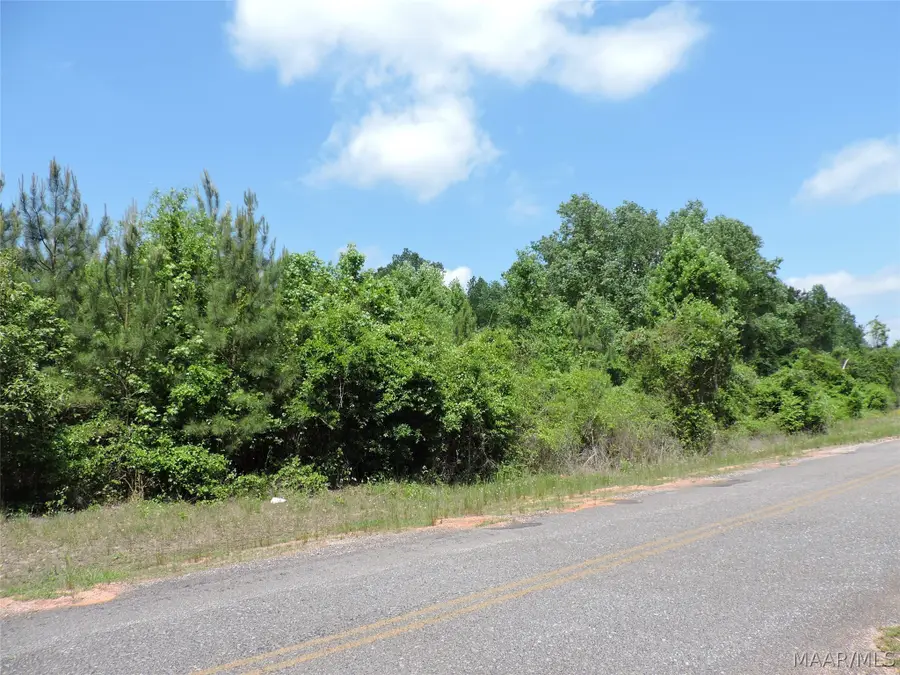 0 Davenport Road, Greenville, AL 36037 - #3
