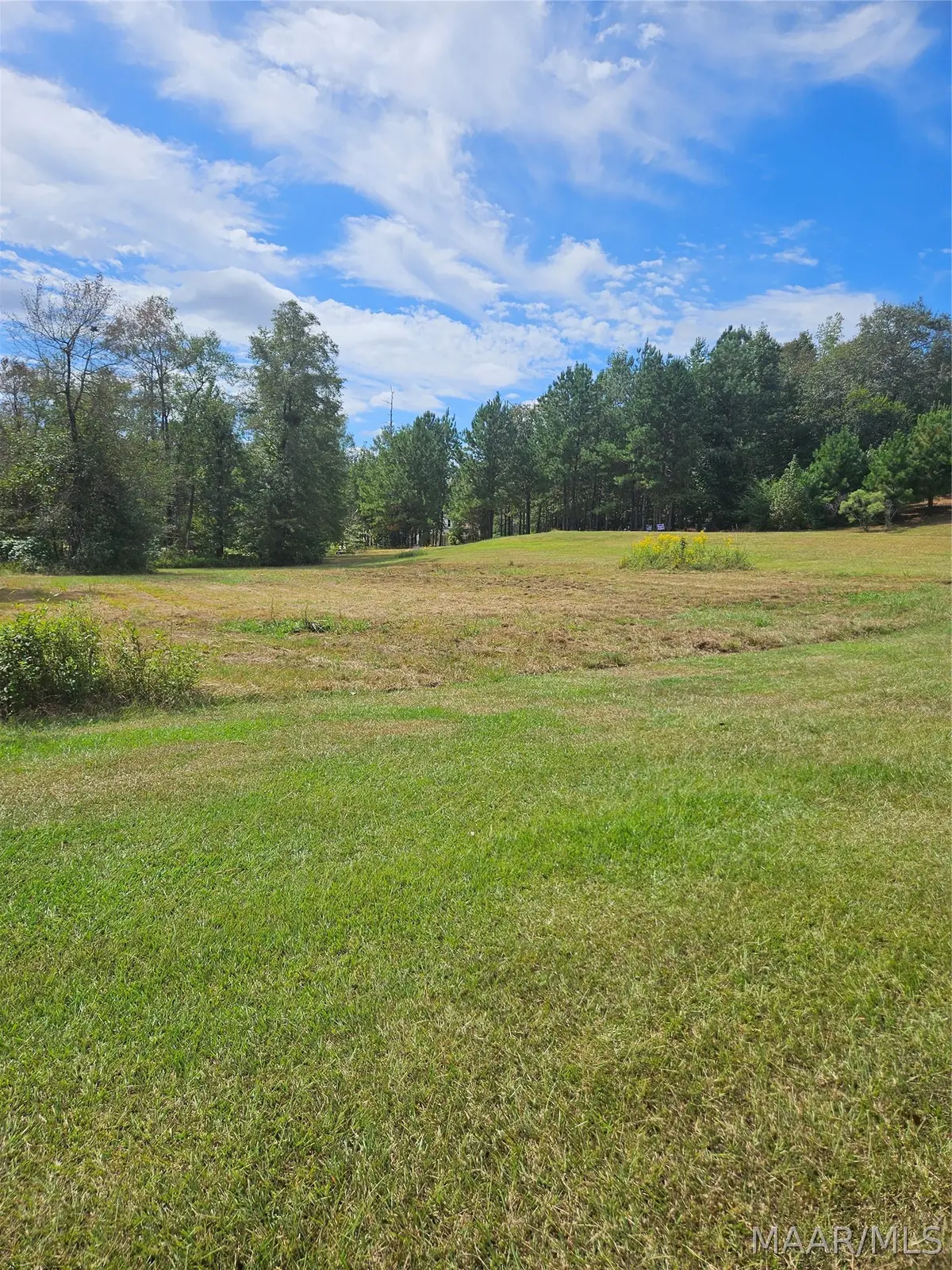 118 Fox Run Drive, Deatsville, AL 36022 - #1