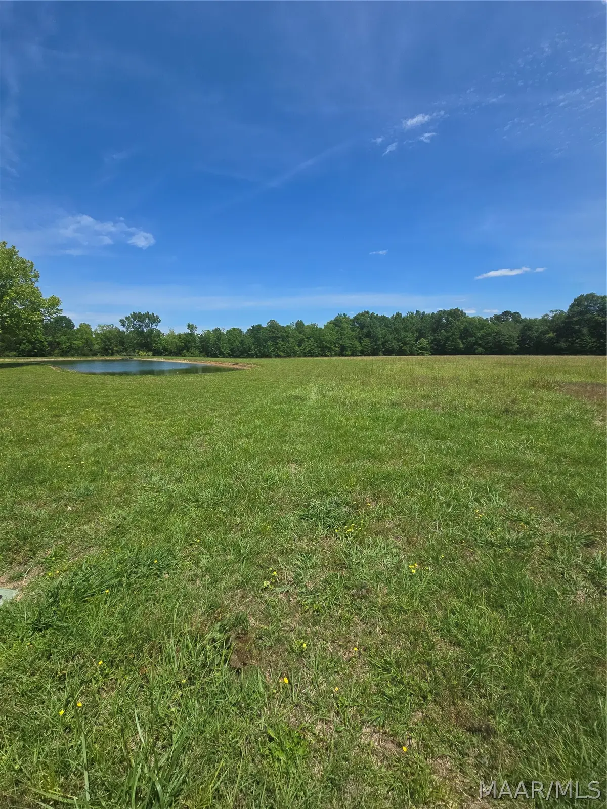 215 Crossing Lane, Pike Road, AL 36064 - #1