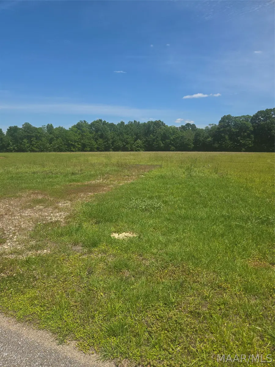 215 Crossing Lane, Pike Road, AL 36064 - #2
