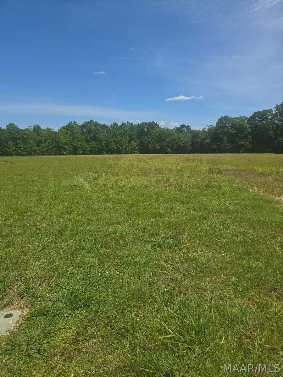 215 Crossing Lane, Pike Road, AL 36064 - #3
