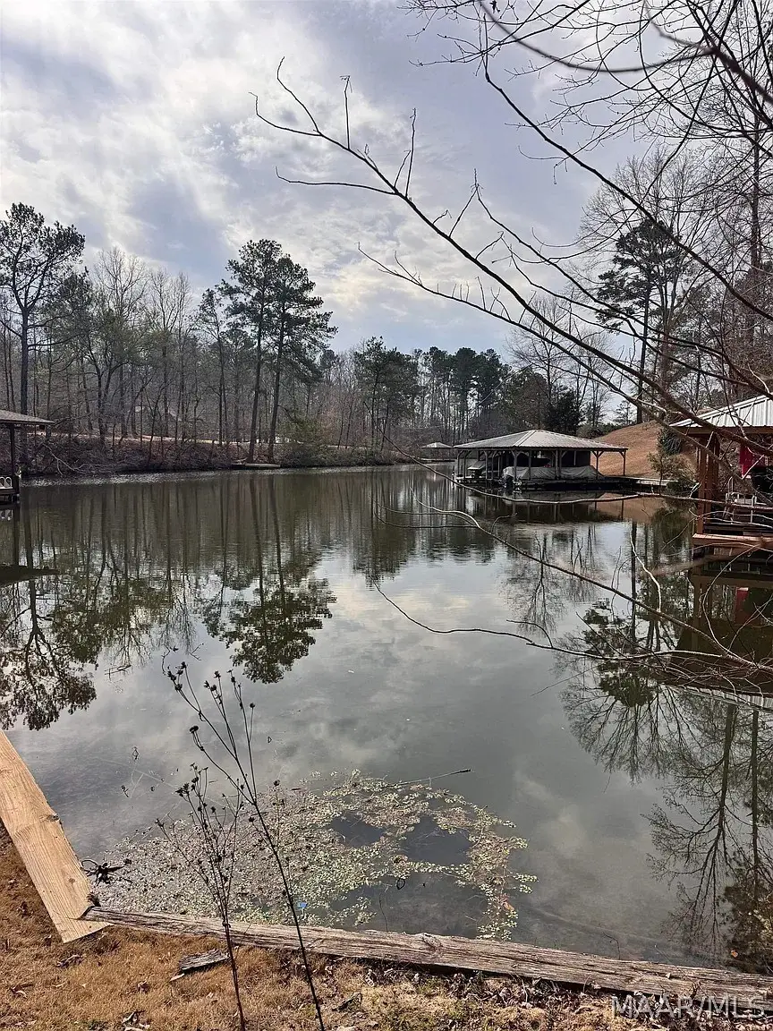 10 Yacht Club Road, Titus, AL 36080 - #1