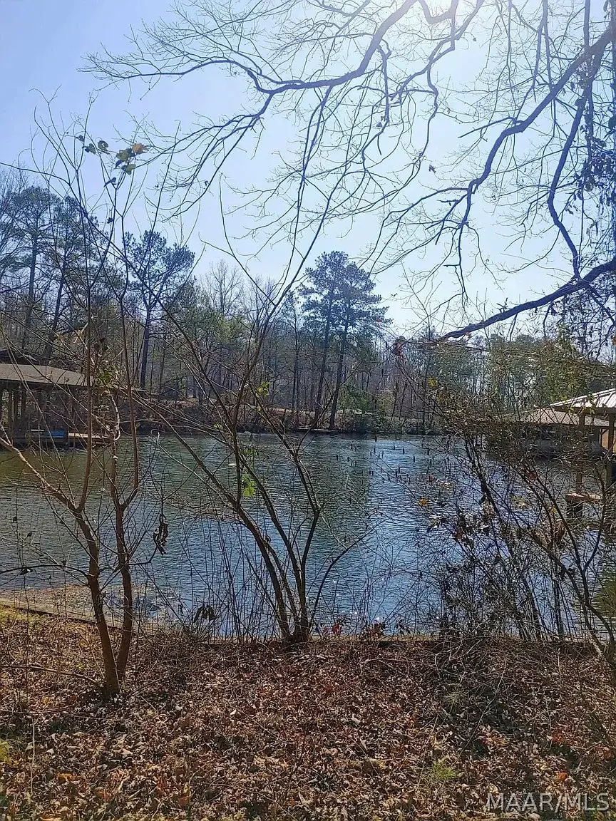 10 Yacht Club Road, Titus, AL 36080 - #2