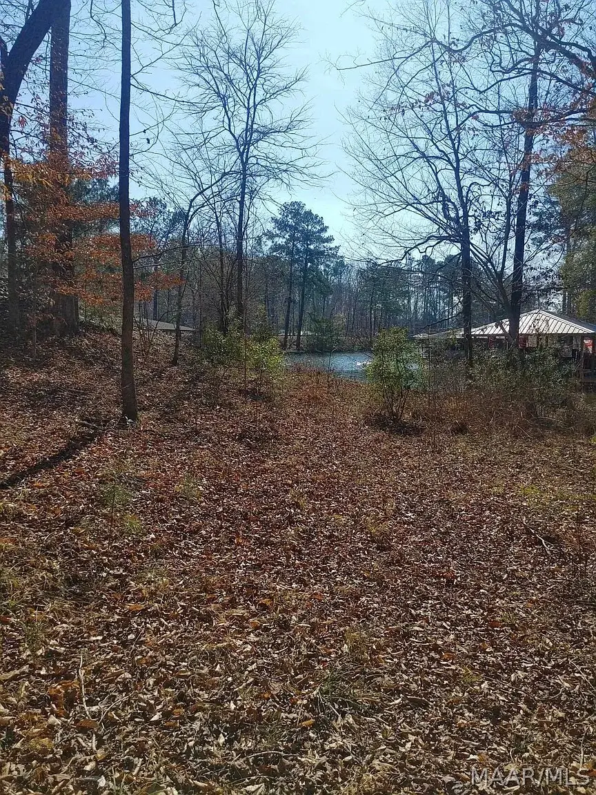 10 Yacht Club Road, Titus, AL 36080 - #3