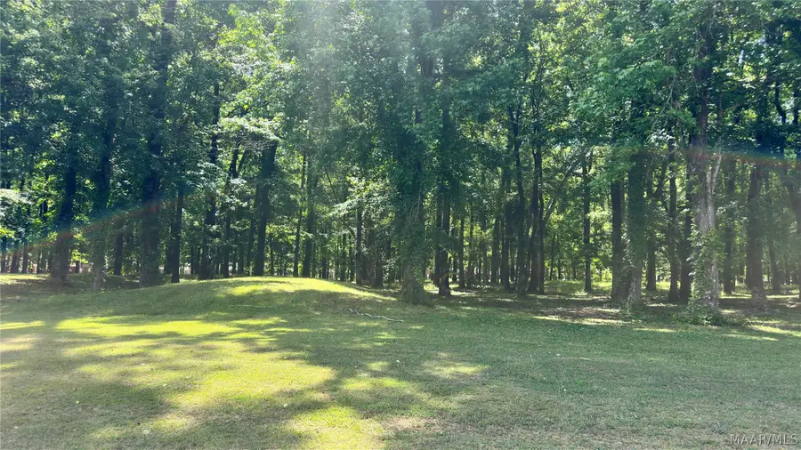 795 River Birch Circle, Wetumpka, AL 36093 - #3