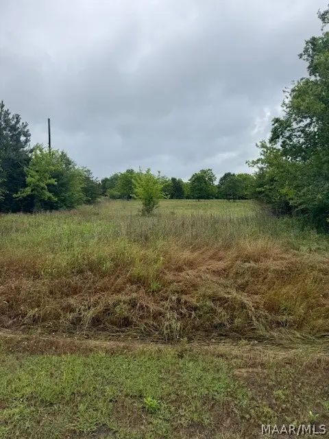 1 Coosa River Road, Deatsville, AL 36022 - #1