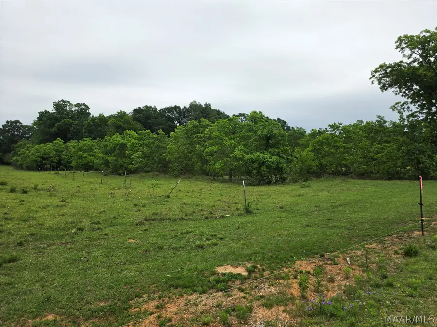 0 Womble Lane, Deatsville, AL 36022 - #2