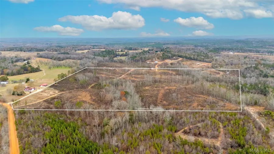 00 County Road 56 Road, Marbury, AL 36051 - #2