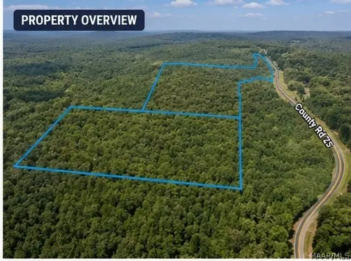 0 County Road 25, Heflin, AL 36264 - #2
