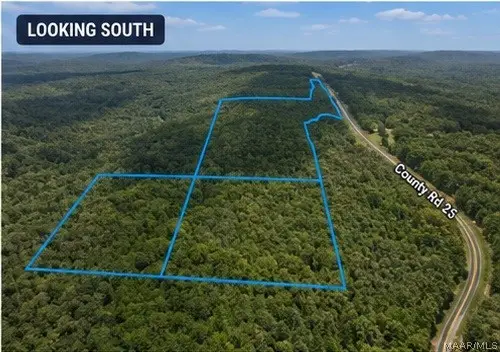 0 County Road 25, Heflin, AL 36264 - #3
