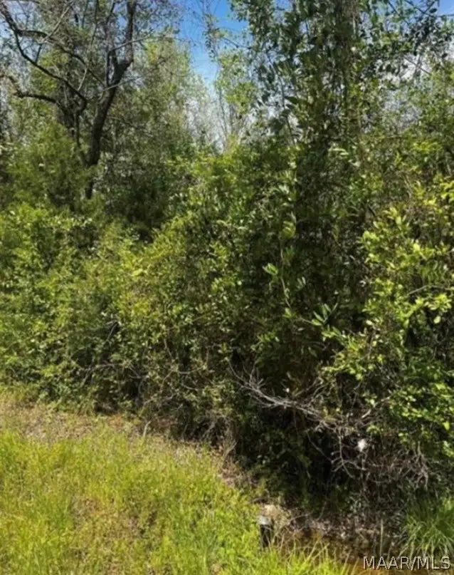 0 County Road 40 Route W, Prattville, AL 36067 - #1