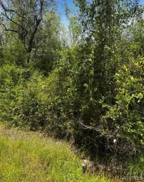 0 County Road 40 Route W, Prattville, AL 36067