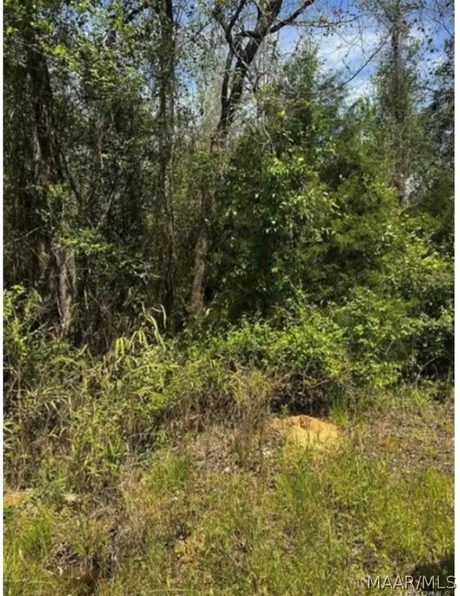 0 County Road 40 Route W, Prattville, AL 36067 - #2