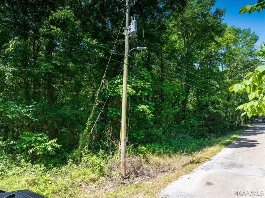 0 Walker Street, Greensboro, AL 36744 - #3