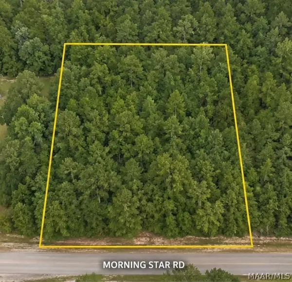 0 Morning Star Road, Whatley, AL 36482