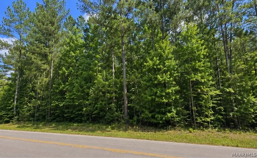 0 Morning Star Road, Whatley, AL 36482 - #2